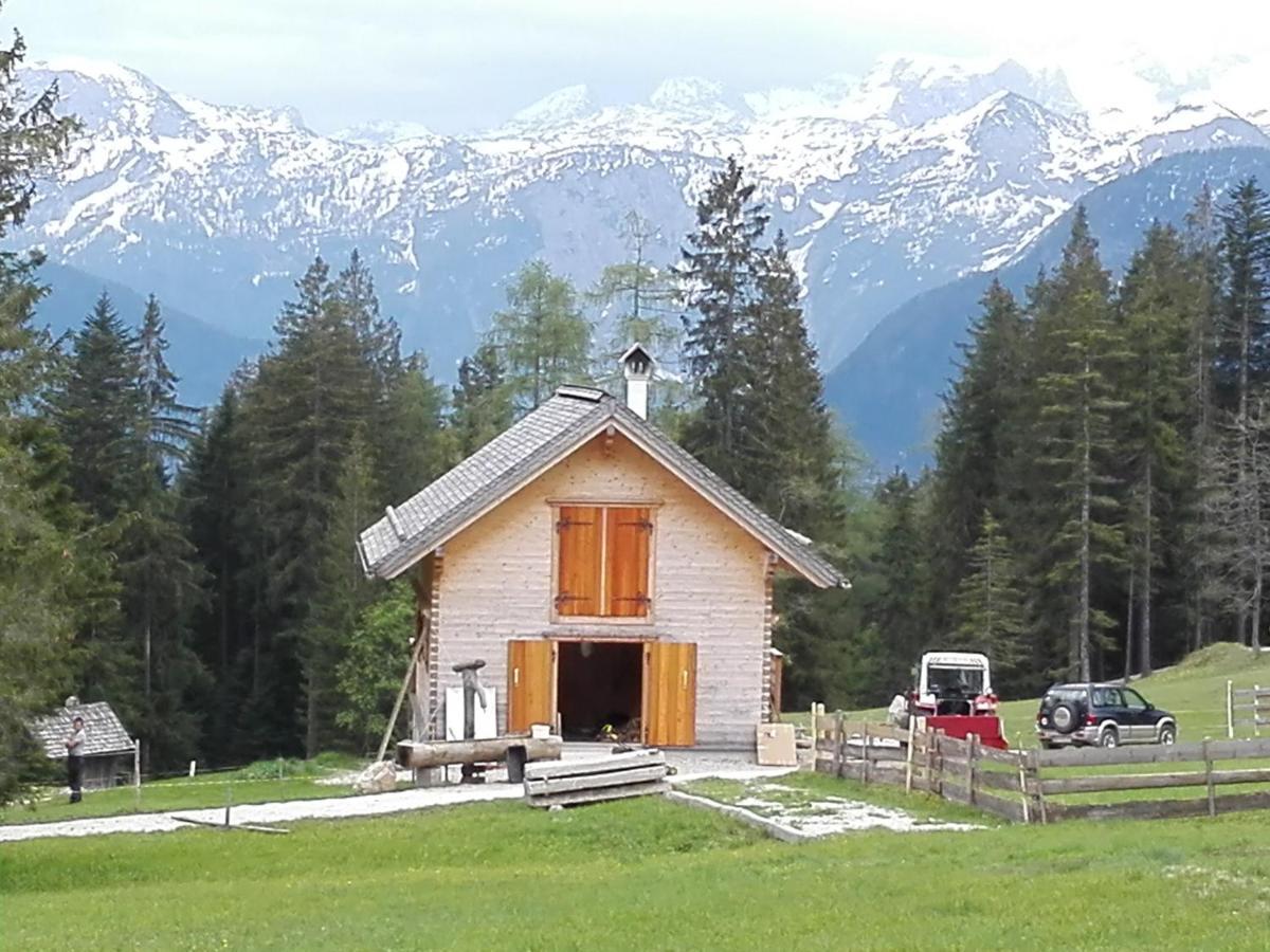Apartment Wohlfuehlapartment Dachsteinblick Bad Goisern
