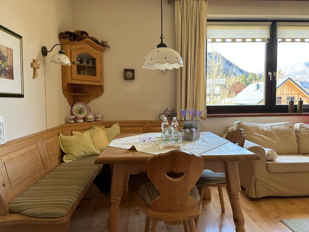 Apartment Wohlfuehlapartment Dachsteinblick