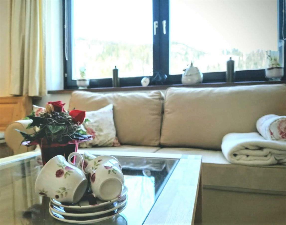 Apartment Wohlfuehlapartment Dachsteinblick *
